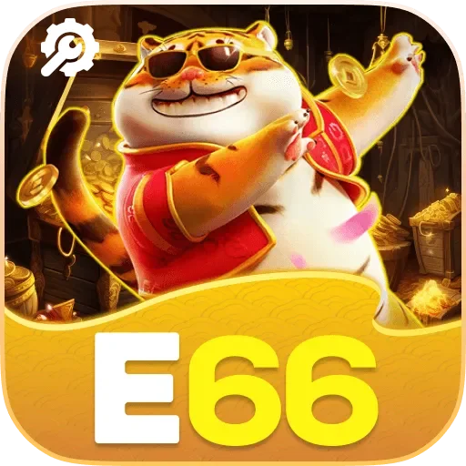 Como instalar o app da e66